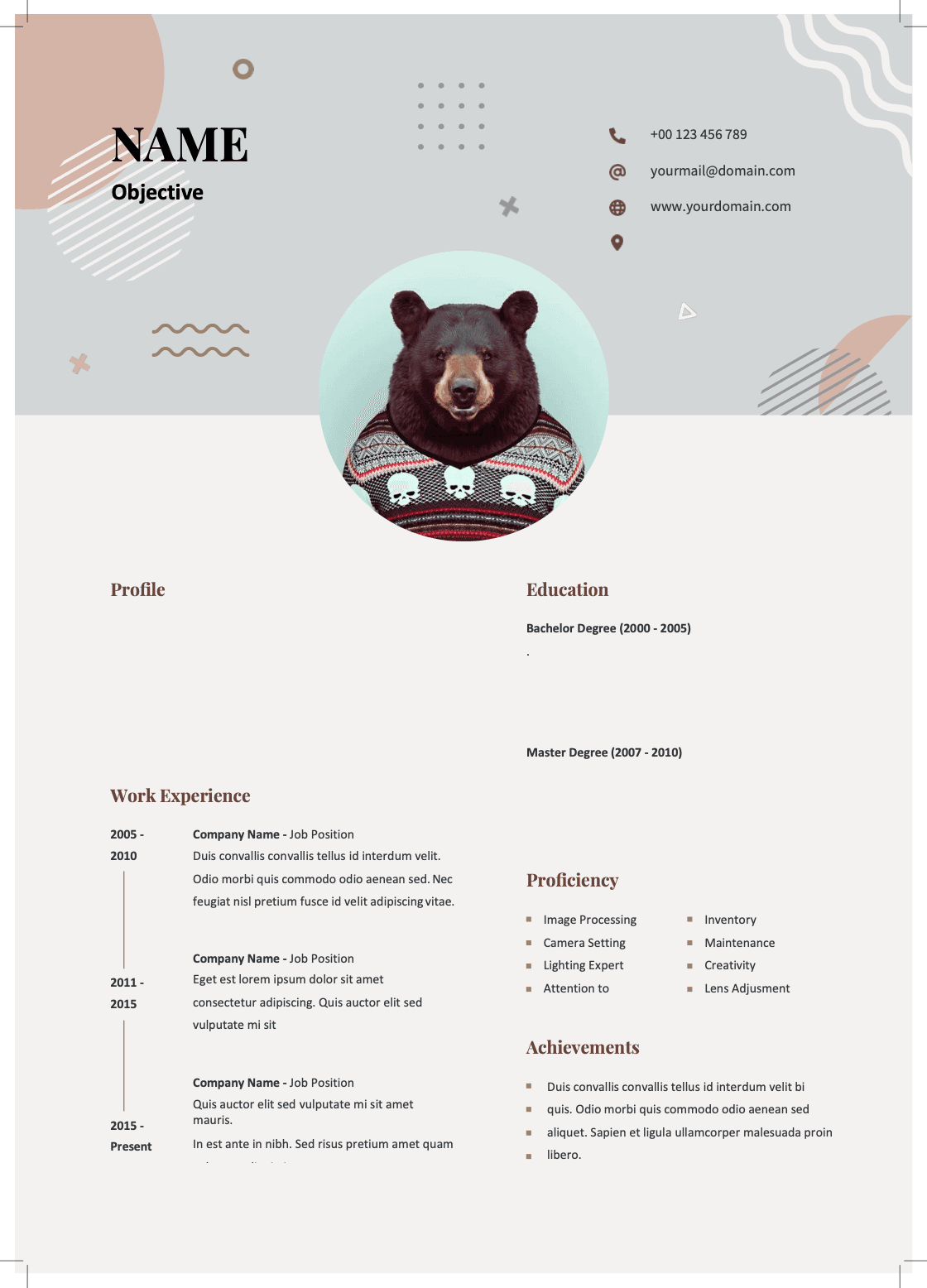 Resume Template 17