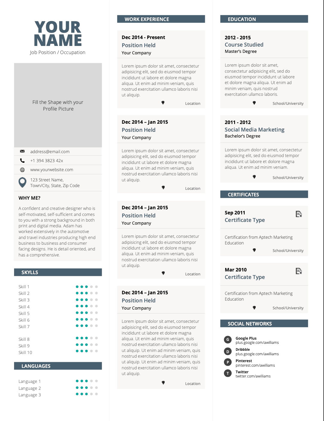 Resume Template 27