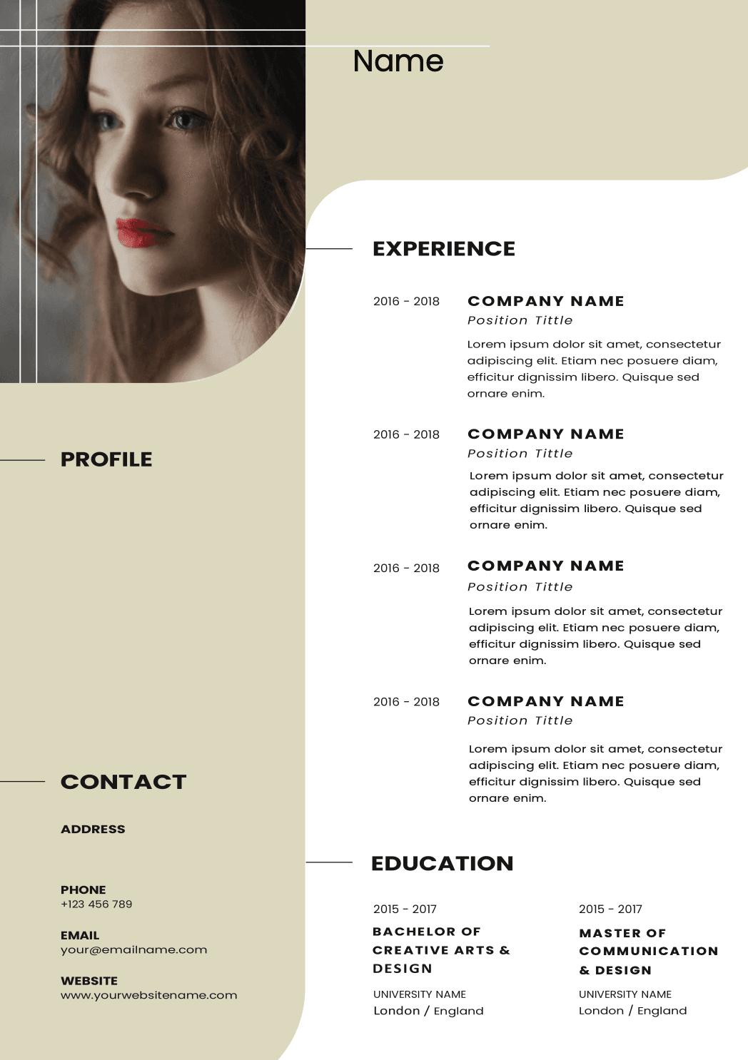 Resume Template 33